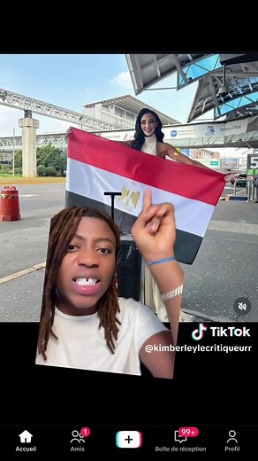 Kimberleylecritiqueur on TikTok