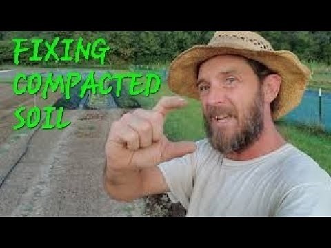 Compacted Soil, how to spot it and fix compacted soil