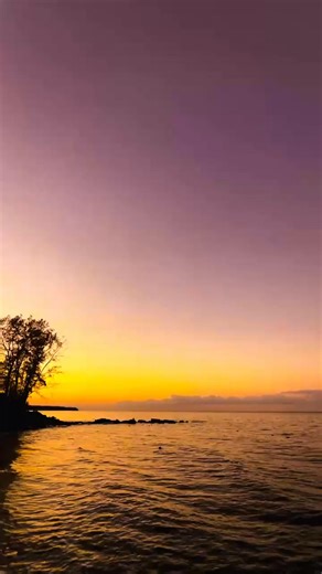 14K views · 357 reactions | The "midge phenomenon" on Lake Erie...