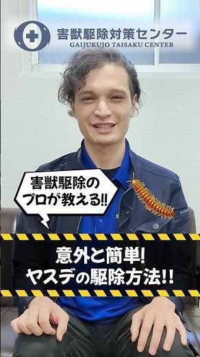 【世界一簡単】プロが教えるヤスデの駆除方法！ #shorts 大阪 害虫 駆除 ヤスデ 対策