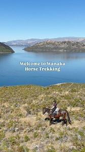 557K views · 9.7K reactions | ✨ Welcome to Wanaka Horse Trekking...