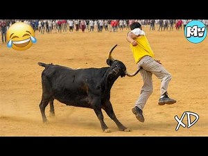 VIDEOS DE RISA 😂 SI TE RÍES PIERDES NIVEL DIOS #64 😆 HUMOR VIRAL MEXICANO🤣