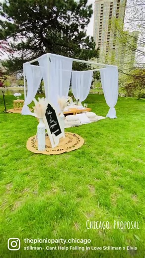 #chicagopicnics #chicagoevents #explorechicago #chicagodateidea #chicagoproposal #chicagocouple