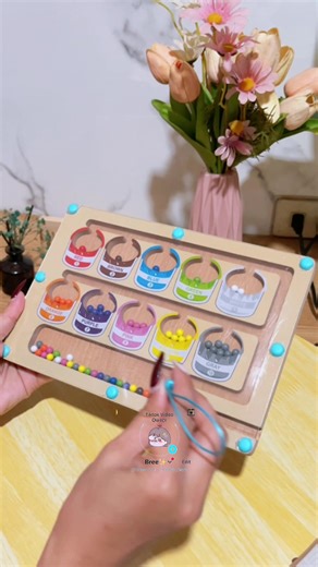 Discover the Magic of Magnetic Color and Maze Sorting Boards