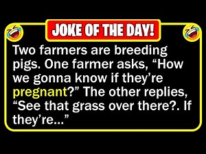 🤣 BEST JOKE OF THE DAY! - A farmer had five female pigs. Times were hard, so... | Funny Daily Jokes