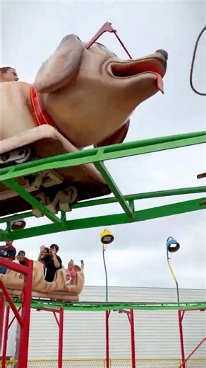 The Wacky Worm Coaster is a classic family-friendly roller coaster that delivers gentle drops,