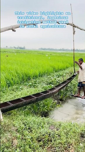 Incredible Traditional Irrigation System in Action!