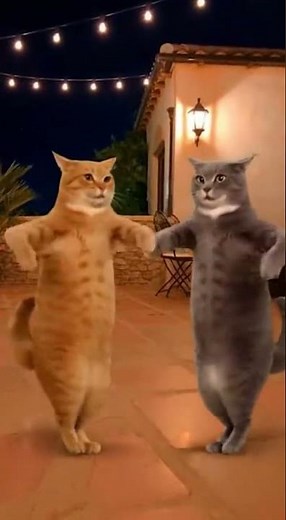Real Cats Dance Cha-Cha-Cha: Adorable Paw-Sync Performance!