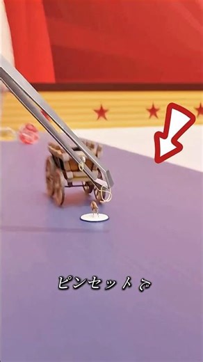 So this is what a flea circus looks like.