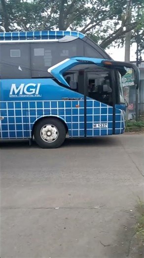 bus mgi m 1337 body sr 2 melintas di jalan lingkar leuwiliang jam 16,02 sore #busmgi