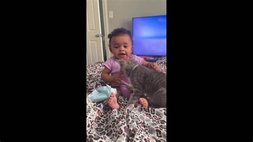Baby Bites Cat on Its Head