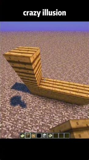 Minecraft crazy illusions