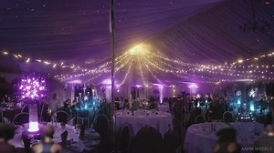 A-R Weekly丨哈利波特白噪音 比尔&芙蓉的婚礼 Bill and Fleur's Wedding丨Harry Potter Ambience