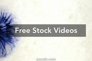 Real Videos, Download The BEST Free 4k Stock Video Footage & Real HD Video Clips