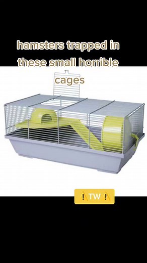 poor babies 😔 I'm crying right low 😭#hamster #badcare #horrible #poorbabies