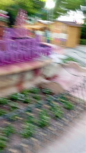 Videos de AYOUB 🇪🇸/أيوب 🇲🇦 (@mr_ayoub.666) con “الصوت الأصلي - حكيم”