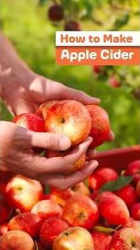 Inside a Maryland Cidery 🍎 | The Art of Making Fresh Apple Cider