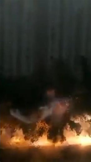 caught on camera 😱 #shorts