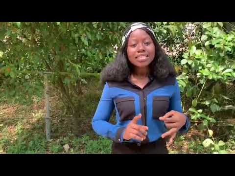 How to run both polyacrylamide gel electrophoresis and agarose gel electrophoresis