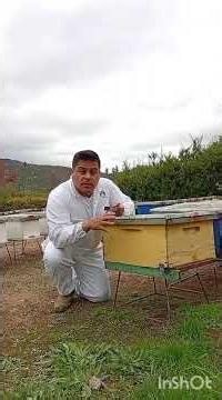 The Importance of Understanding Ambient Temperature and Learning to Read What Happens in the Hive