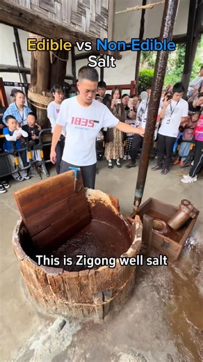 Would you dare to try this types of salt? #salt #shorts