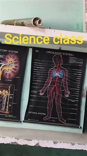 my school #🏨🥰🌹😎🥀🫰science library class 👍👊🥀# my best science library class