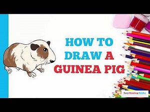 How to Draw a Guinea Pig in a Few Easy Steps: Drawing Tutorial for Beginner Artists