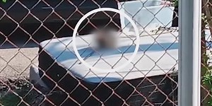 Human skull found outside home