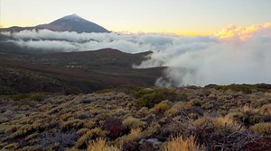 14K views · 818 reactions | Can you feel the natural energy of the Canary Islands? | Canary Islands | Facebook