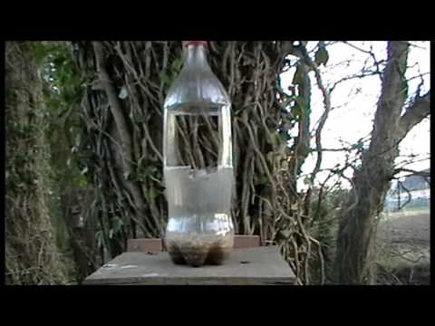 Squirrel Hunting, DIY Squirrel feeder for shooting