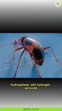 Bombardier Beetle—Nature’s Living Explosion 💥🐞 | The Wise Hub #shorts #facts #animals #wildlife