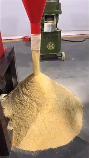 How To Grind Grain With Self Priming Grain Grinder #grain #grinder #selfprimingpump #cereal #agric