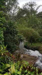 9.7K views · 78 reactions | Would you like to take a waterfall shower...