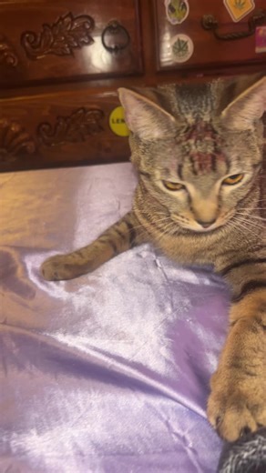 She will always be my valentine💌❤️