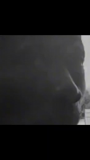 Motivational Quotes for Life: Inspire Your Journey