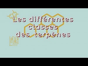 Exploring the diversity of terpenes