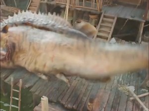 48M views · 511K reactions | Bache bhagwan ke roop haote hai #action #vairal #tranding #movies #comedyvideos | Raju Choudhary RC | Facebook