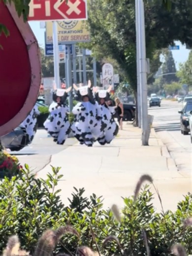Why Is Everyone Dressed Like a Cow? Chick-fil-A Free Meal Stunt Explained