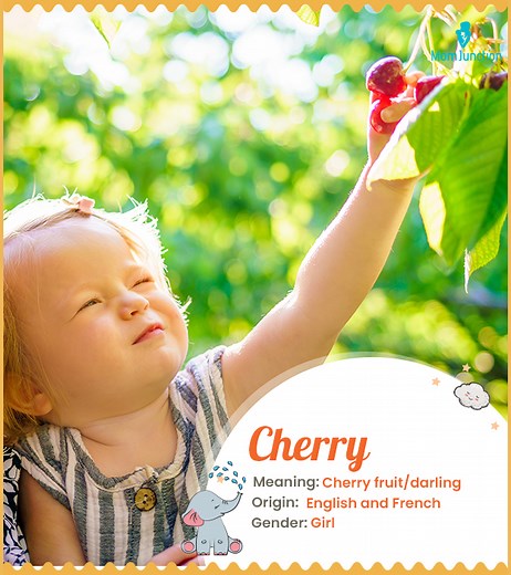 Cherry Name Meaning, Origin, History, And Popularity