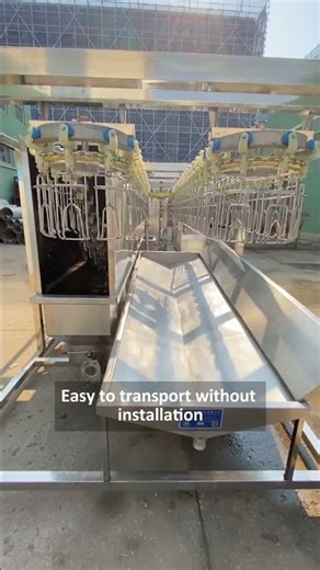 Mastering Poultry Processing for 42 Years: Unveiling Our Premium Compact Slaughter Line