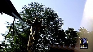 26K views · 2.2K reactions | Thanks to some new exhibit features,...