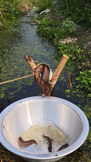 Bast fishing tarp with plastic pipe #fishing #plstice