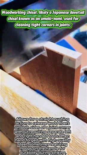 Woodworking chisel known as an umeki-nomi, used for cleaning tight corners in joints.