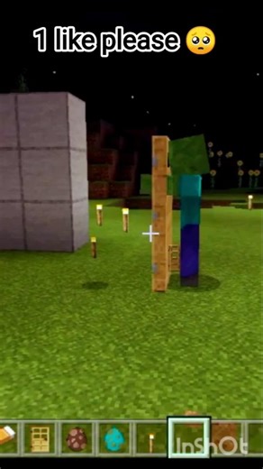 Minecraft जोंबी को दरवाजे से जाना था क्या ❓#minecraft