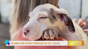 Stray Rescue of St. Louis is leaning on the community for multi-million dollar expansion