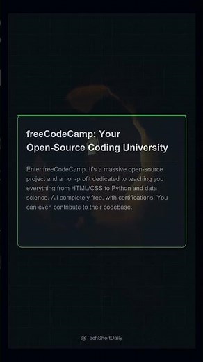 Learn to Code FREE?! 🤯 freeCodeCamp Explored