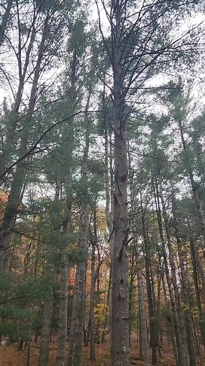 12 reactions | Enjoy outdoors while we are able!  -physical and mental health benefits. Susan Dela Cuesta Saveron | Madie Dela Cuesta Saveron | Facebook