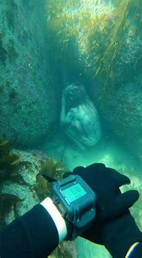 Real or AI? The Future of Cinema Explained