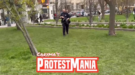 WATCH:Police arrest a cosplayer at the first annual Anime Connects Cherry Blossom Picnic at Trinity Bellwoods Park.The individual’s costume included a prop gun with allegedly 3D-printed parts.📸 May 2, 2026#Toronto #ProtestMania