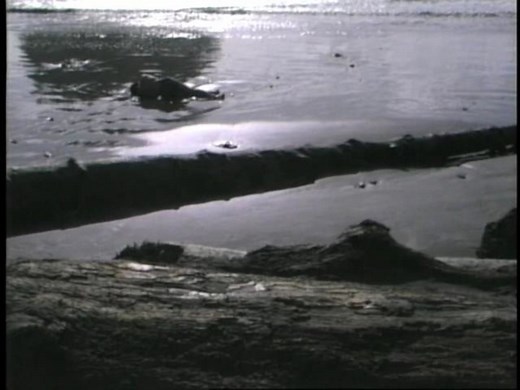 Incidence of Catastrophe, 1987-88